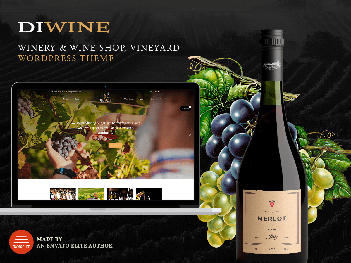Diwine – Winery &amp; Wine Shop, Vineyard WordPress Theme